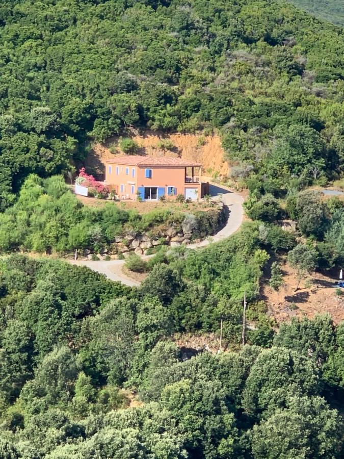Villa Confina Villanova エクステリア 写真